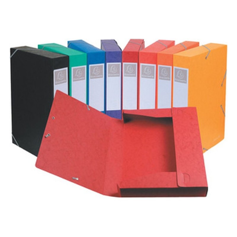1 Exacompta Boîte de classement Cartobox