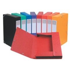 1 Exacompta Boîte de classement Cartobox