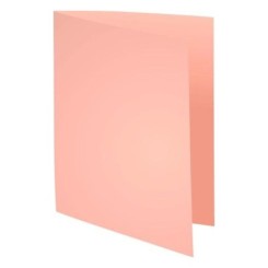 Chemise 220Gr Rose