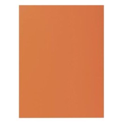 Sous-chemise 80g couleur vive HAVANE