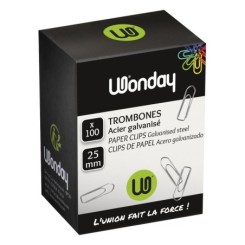 Boîte de 100 trombones 25mm Acier galvanisé
